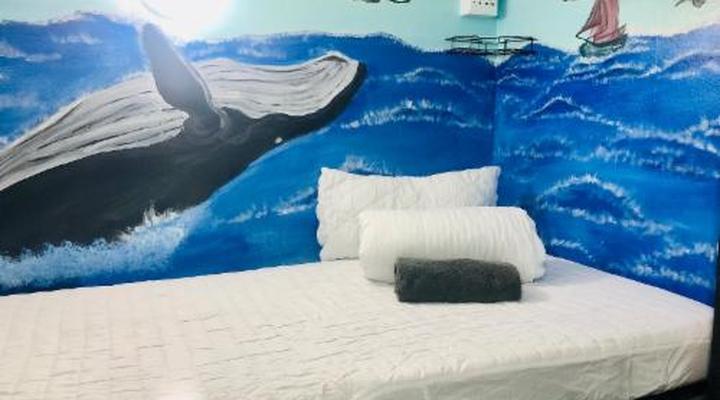 Cape Capsules Backpackers