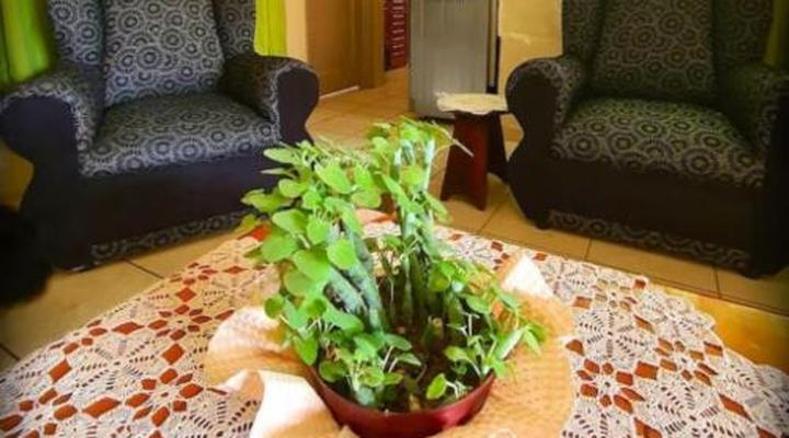 Spoelklippie Guesthouse (Whole house & Whole Flat)