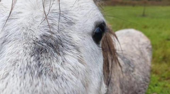 Sunrise Serenity Venue & Guest House