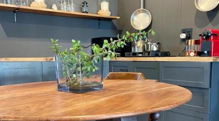 Two White Oaks - Luxury prefab bungalows