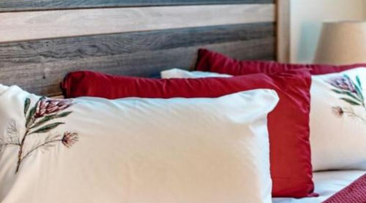 Meerkat Manor Self-catering and Accommodation