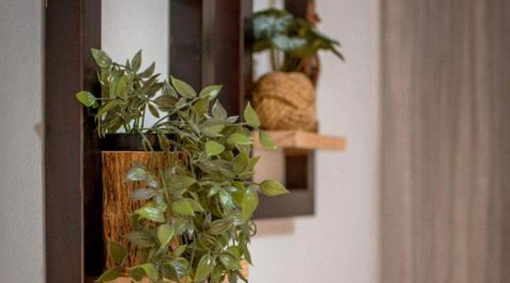 Meerkat Manor Self-catering and Accommodation