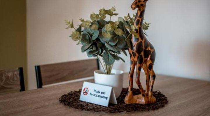 Meerkat Manor Self-catering and Accommodation