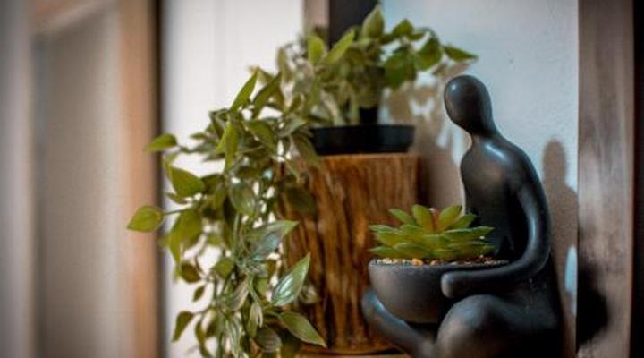 Meerkat Manor Self-catering and Accommodation