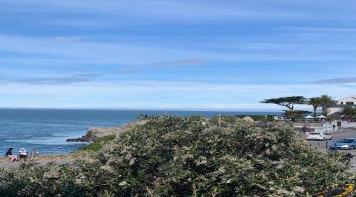 Waterfront Apartment