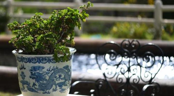 Daniel's Kraal Guest Farm