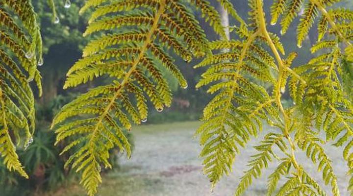 Paradise View Guesthouse