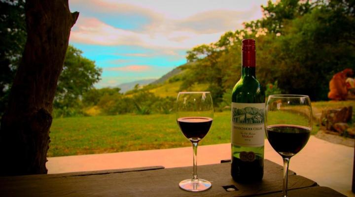 Wide Horizons Mountain Retreat