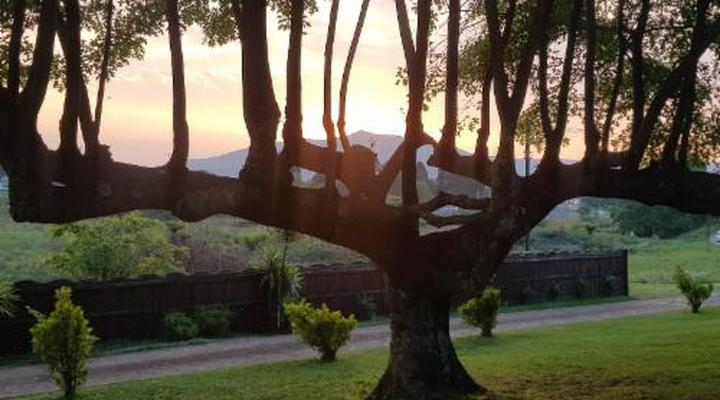 Paradise View Guesthouse