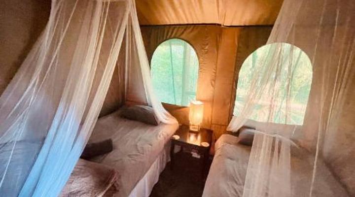 Nyala Luxury Safari Tents
