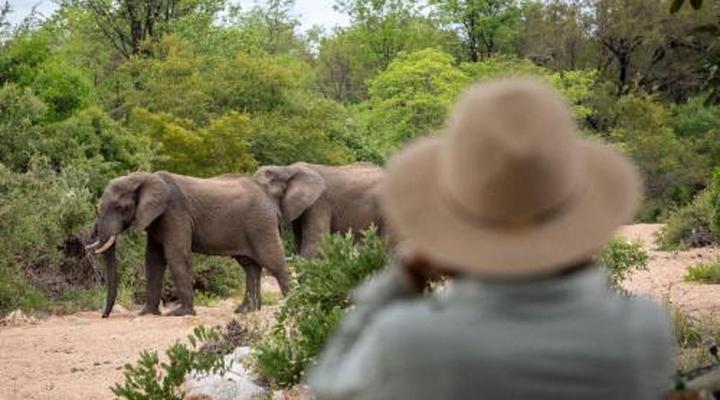 Simbavati River Sands