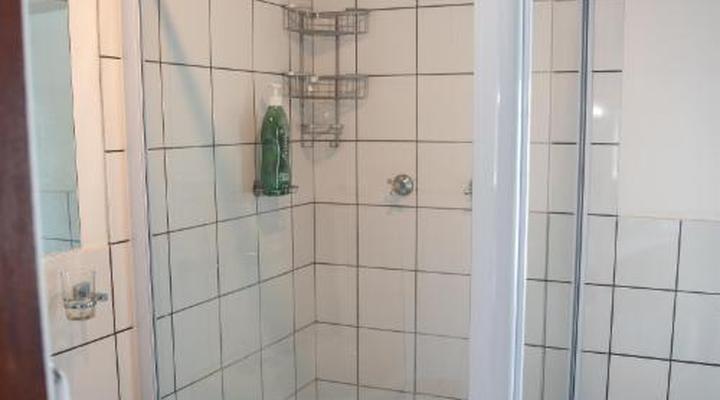 Tree Aloe Guest House