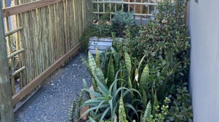 Modern Apartments Downtown