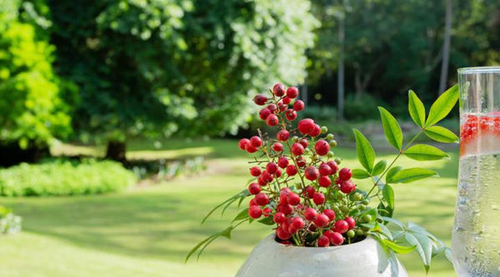 Tehillah Guest House