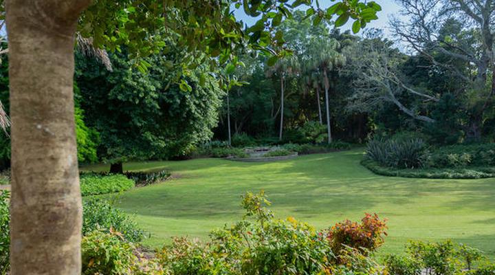 Tehillah Guest House