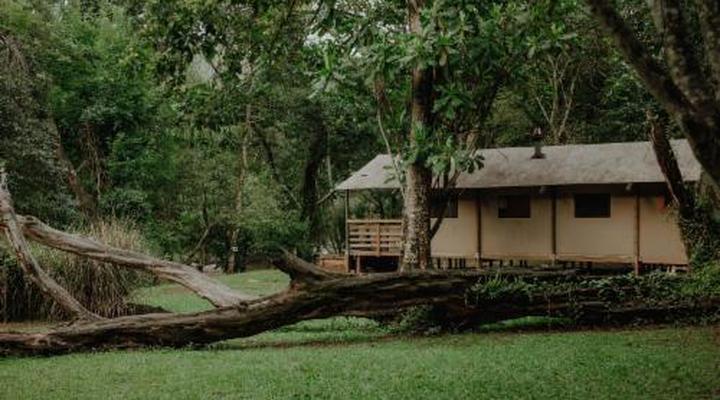 AfriCamps at Mackers