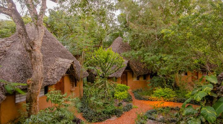 Distant Relatives Ecolodge and Backpackers