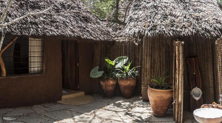 Distant Relatives Ecolodge and Backpackers