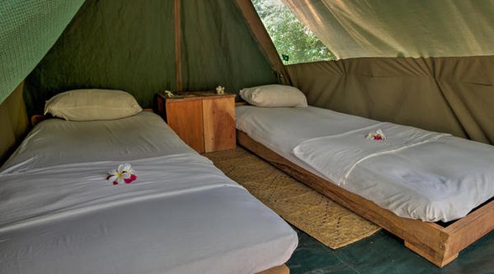 Distant Relatives Ecolodge and Backpackers