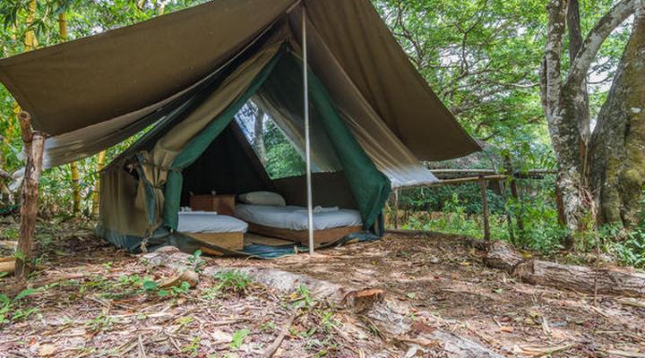 Distant Relatives Ecolodge and Backpackers