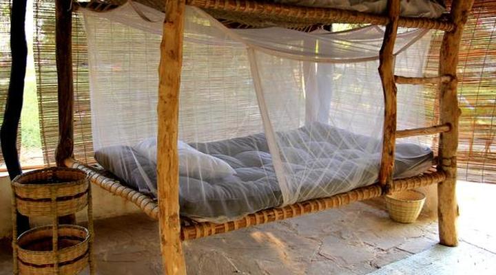 Distant Relatives Ecolodge and Backpackers