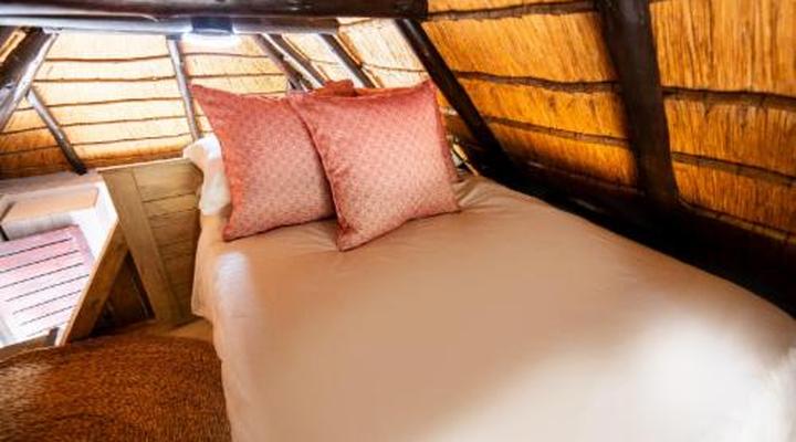 Hakuna Matata Adventures