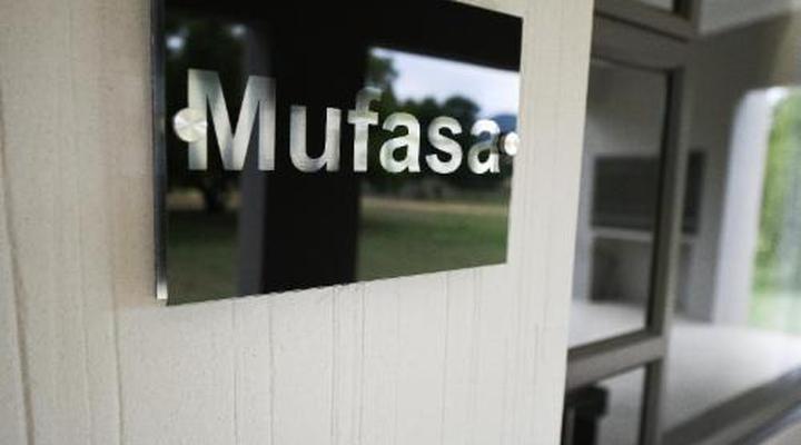 Hakuna Matata Adventures