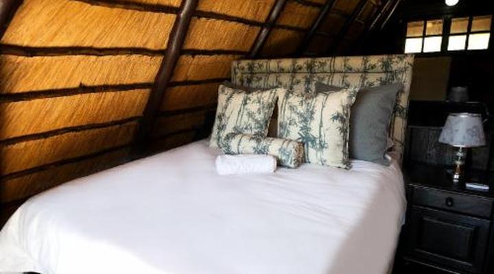 Hakuna Matata Adventures