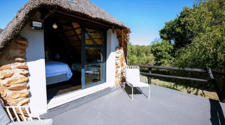 Hakuna Matata Adventures