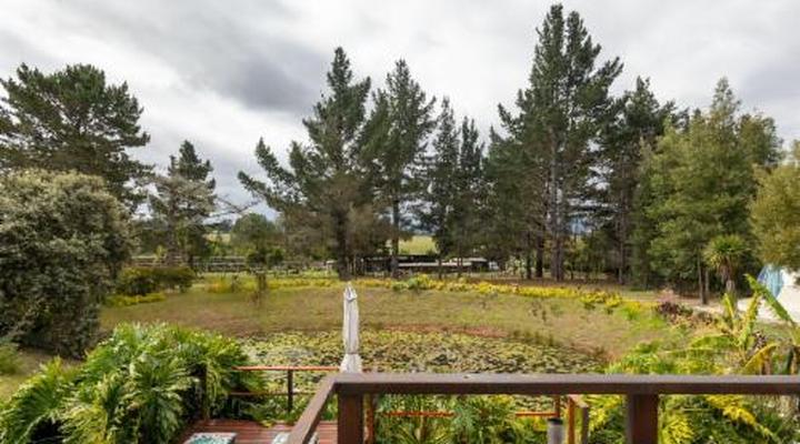 Five Elements Resort