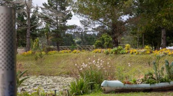 Five Elements Resort