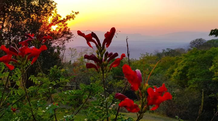 Wide Horizons Mountain Retreat