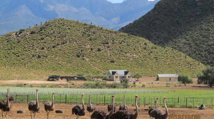 Kleingeluk Guest Farm