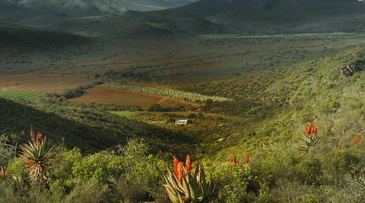 Kleingeluk Guest Farm