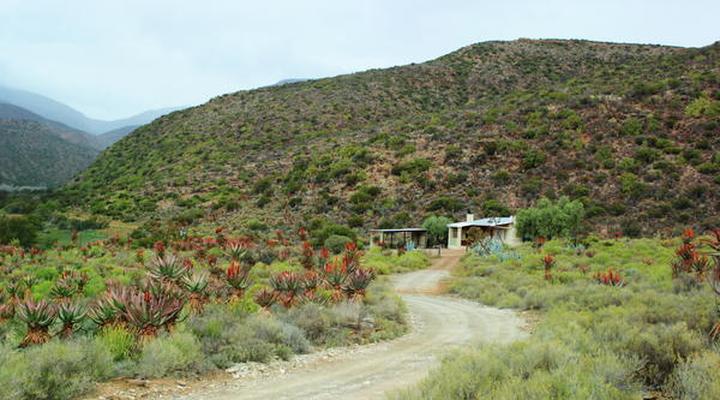 Kleingeluk Guest Farm