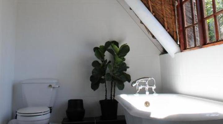 Cosy Corner Guest House