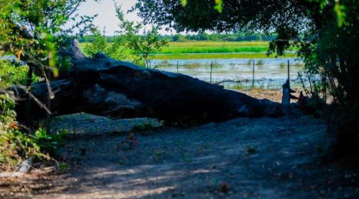 Kashete Plains Expedition & Campsite