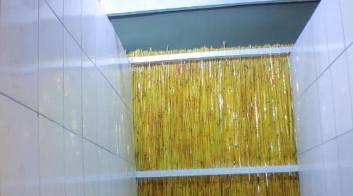 Kashete Plains Expedition & Campsite