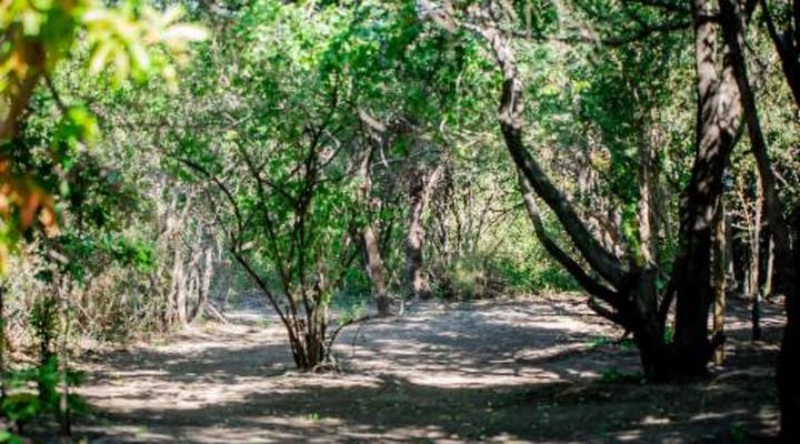 Kashete Plains Expedition & Campsite