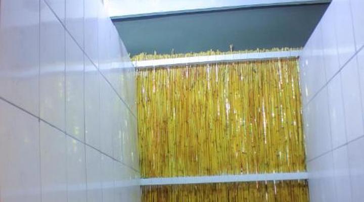 Kashete Plains Expedition & Campsite