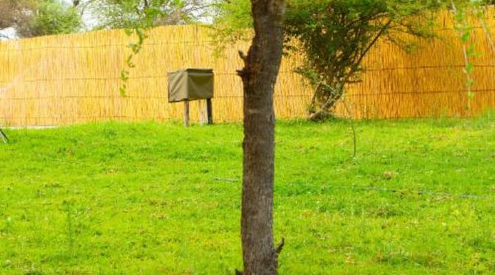 Kashete Plains Expedition & Campsite