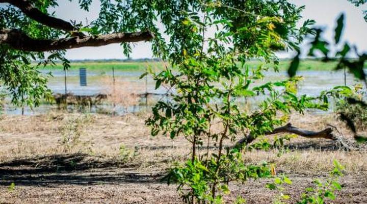 Kashete Plains Expedition & Campsite