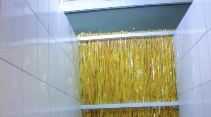 Kashete Plains Expedition & Campsite