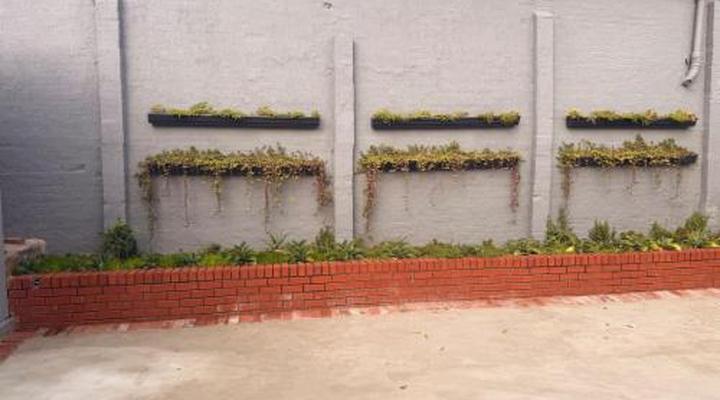 The Essenwood Collection