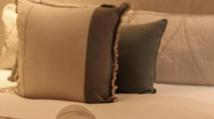 Wild Olive Collection