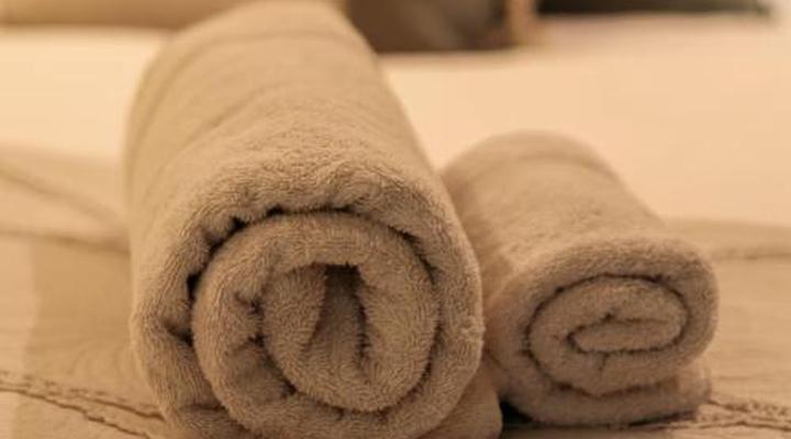 Wild Olive Collection