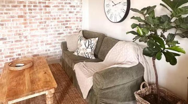 Wild Olive Collection