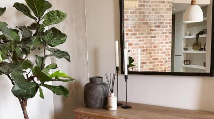 Wild Olive Collection