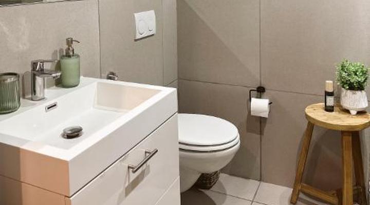 Wild Olive Collection