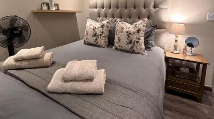 Wild Olive Collection